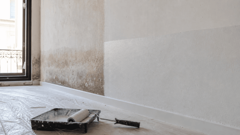 Pintura antihumedad o tratamiento de la pared: que funciona de verdad en casas inundadas por la DANA